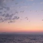 شقة فندقية Pillbox Seafront And